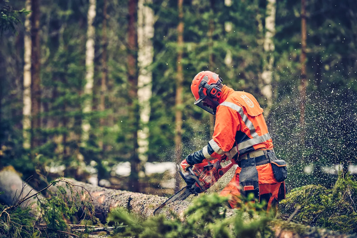 Protect your hearing from noise caused by petrol- or battery-driven equipment