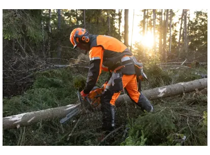 Gozdarska čelada Husqvarna, Technical, Mips slika