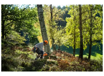 Husqvarna 450S slika