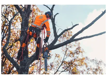 Husqvarna 550i XP® G slika