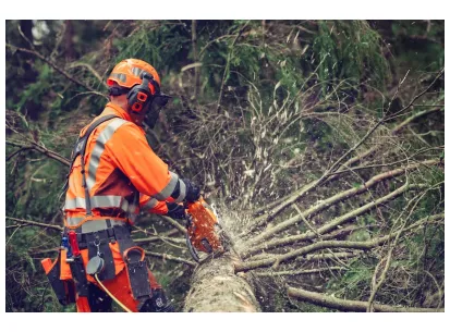 Husqvarna 564 XP® G z direktnim vbrizgom goriva slika