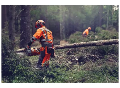 Husqvarna 564 XP® G z direktnim vbrizgom goriva slika