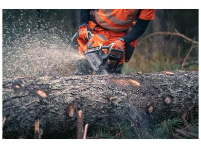 HUSQVARNA 592 XP® G slika