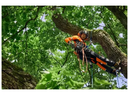 Husqvarna hlače, Technical Extreme Arborist slika