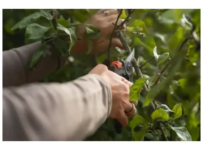 Husqvarna secateur medium slika
