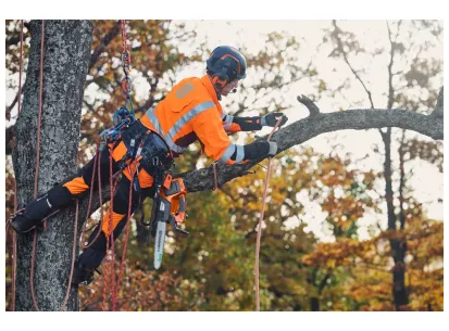 HUSQVARNA T535i XP® brez akumulatorja in polnilnika slika