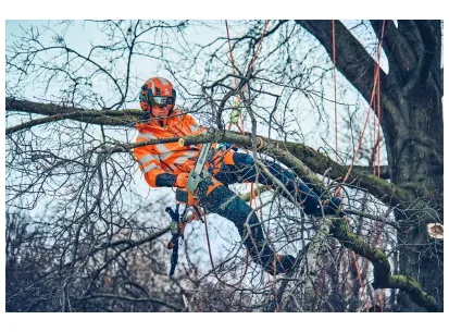 Husqvarna T542i XP® G slika
